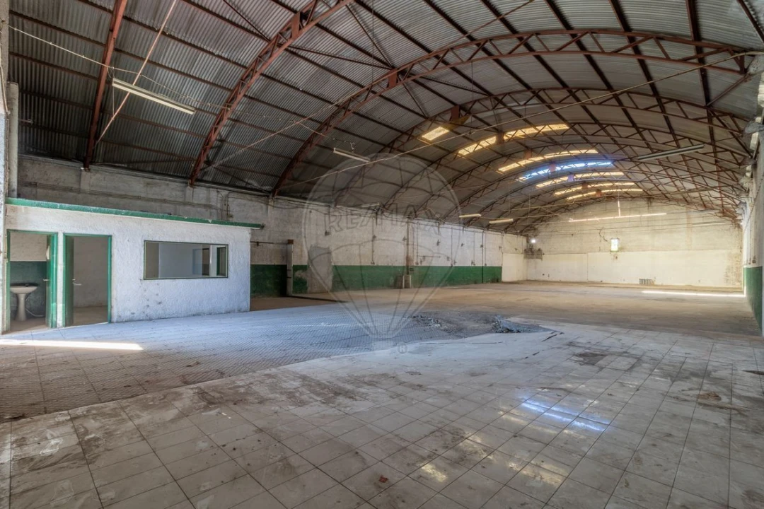 Armazém para Venda em Eiras e São Paulo de Frades Foto 6