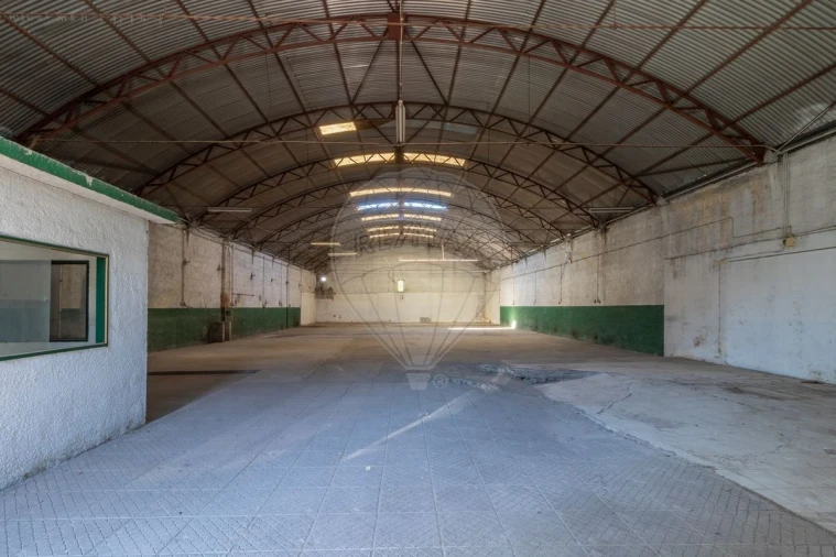 Armazém para Venda em Eiras e São Paulo de Frades Foto 3