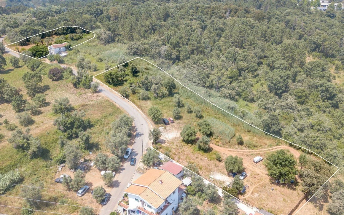 Terreno P/ Prédio para Venda em Santo Antonio dos Olivais Foto 4