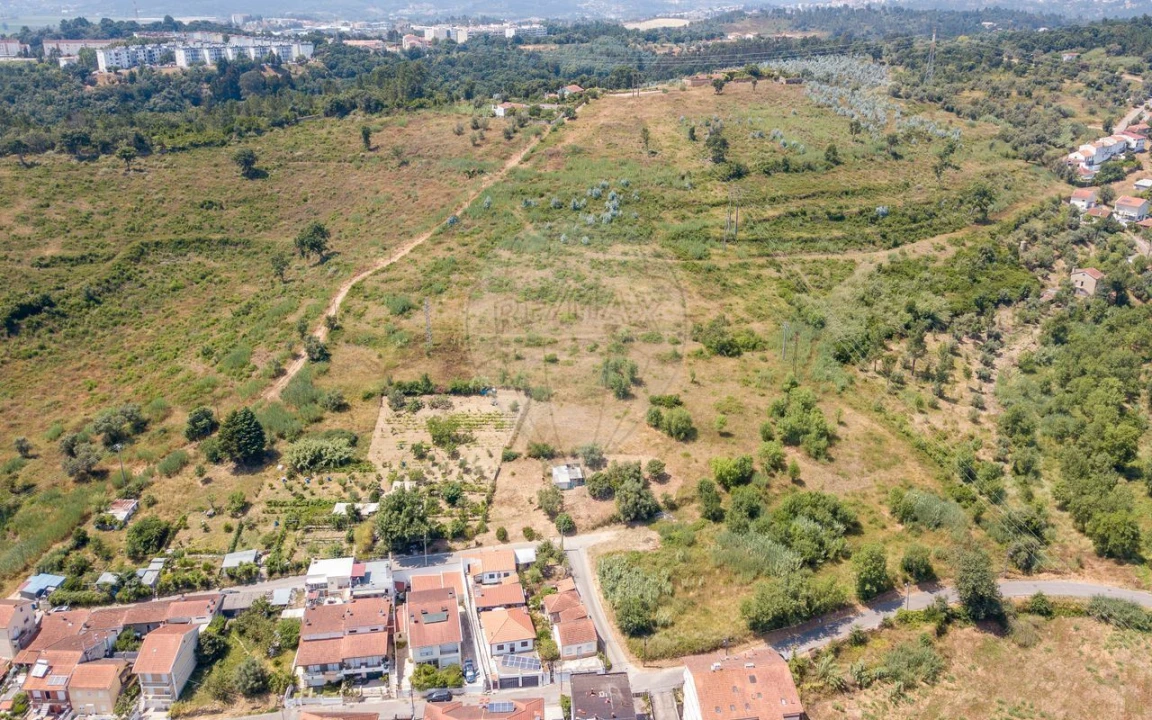Terreno P/ Prédio para Venda em Santo Antonio dos Olivais Foto 7