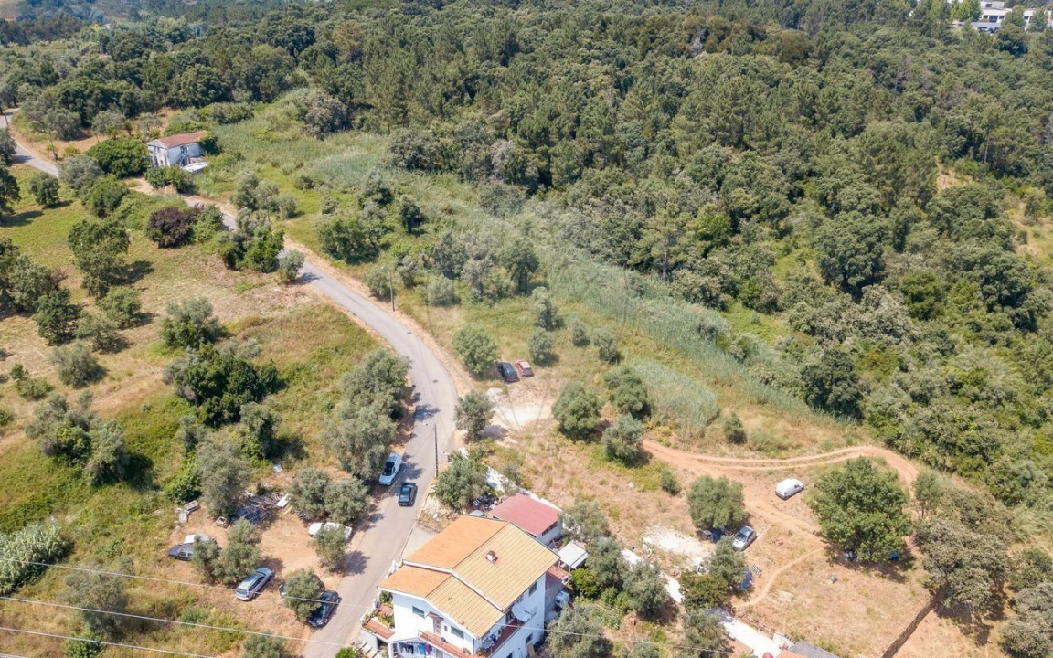 Terreno P/ Prédio para Venda em Santo Antonio dos Olivais Foto 8