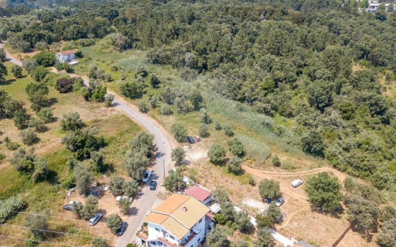 Terreno P/ Prédio para Venda em Santo Antonio dos Olivais Foto 8