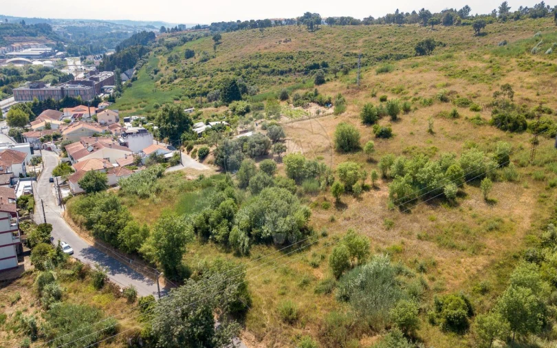 Terreno P/ Prédio para Venda em Santo Antonio dos Olivais Foto 14
