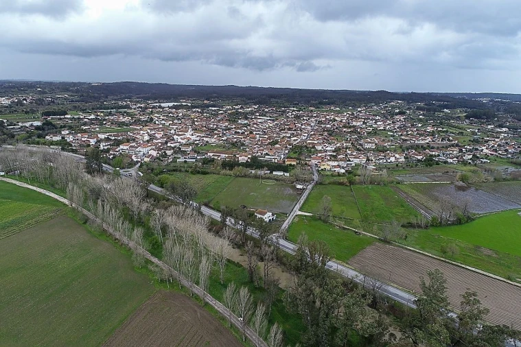 Armazém para Venda em São João do Campo Foto 24
