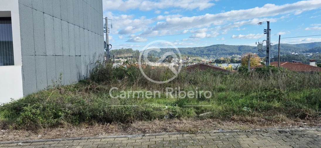 Terreno para Venda em Tadim Foto 4