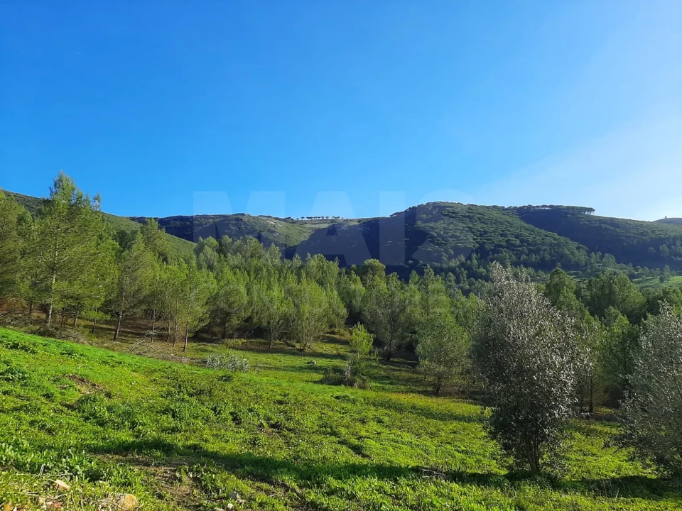 Moradia T3 para Venda em Vilar Foto 5