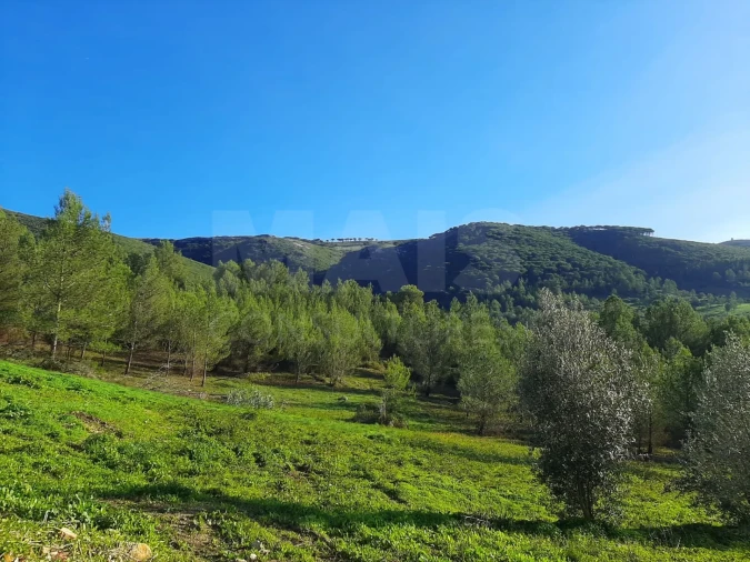 Moradia T3 para Venda em Vilar Foto 5