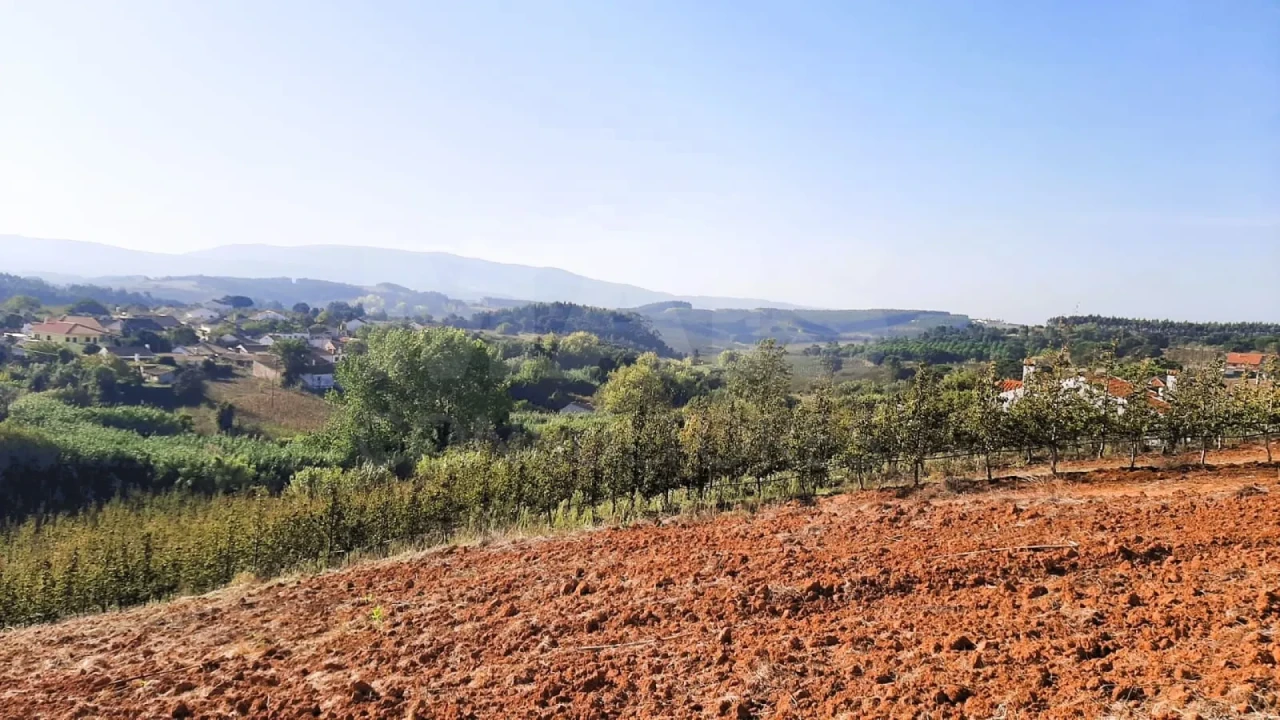 Terreno para Venda em Peral Foto 1
