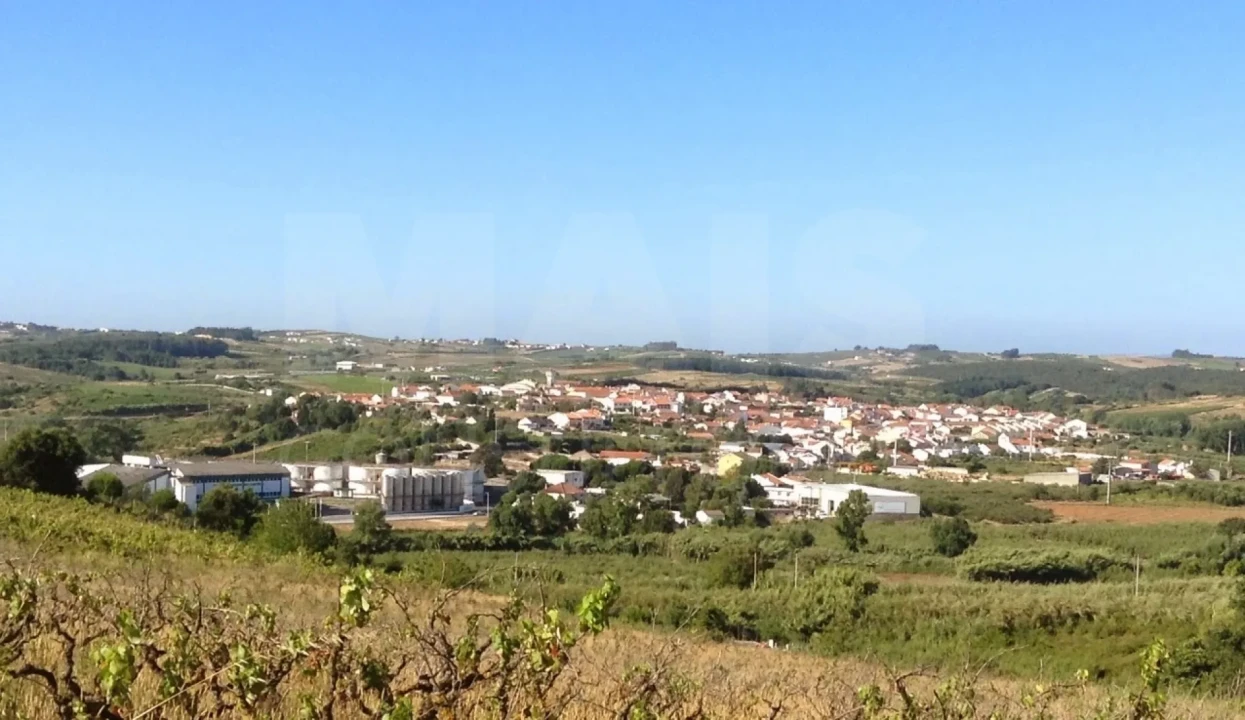 Terreno para Venda em Peral Foto 5