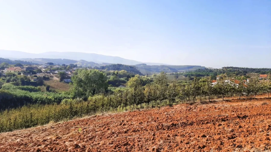 Terreno para Venda em Peral Foto 1
