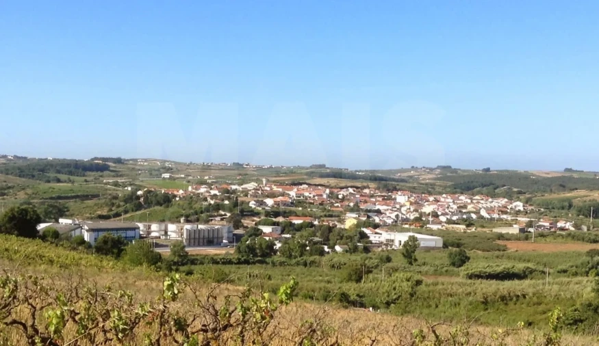 Terreno para Venda em Peral Foto 5