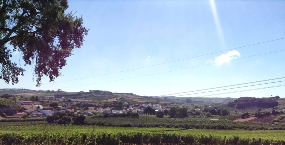 Terreno para Venda em Peral Foto 4