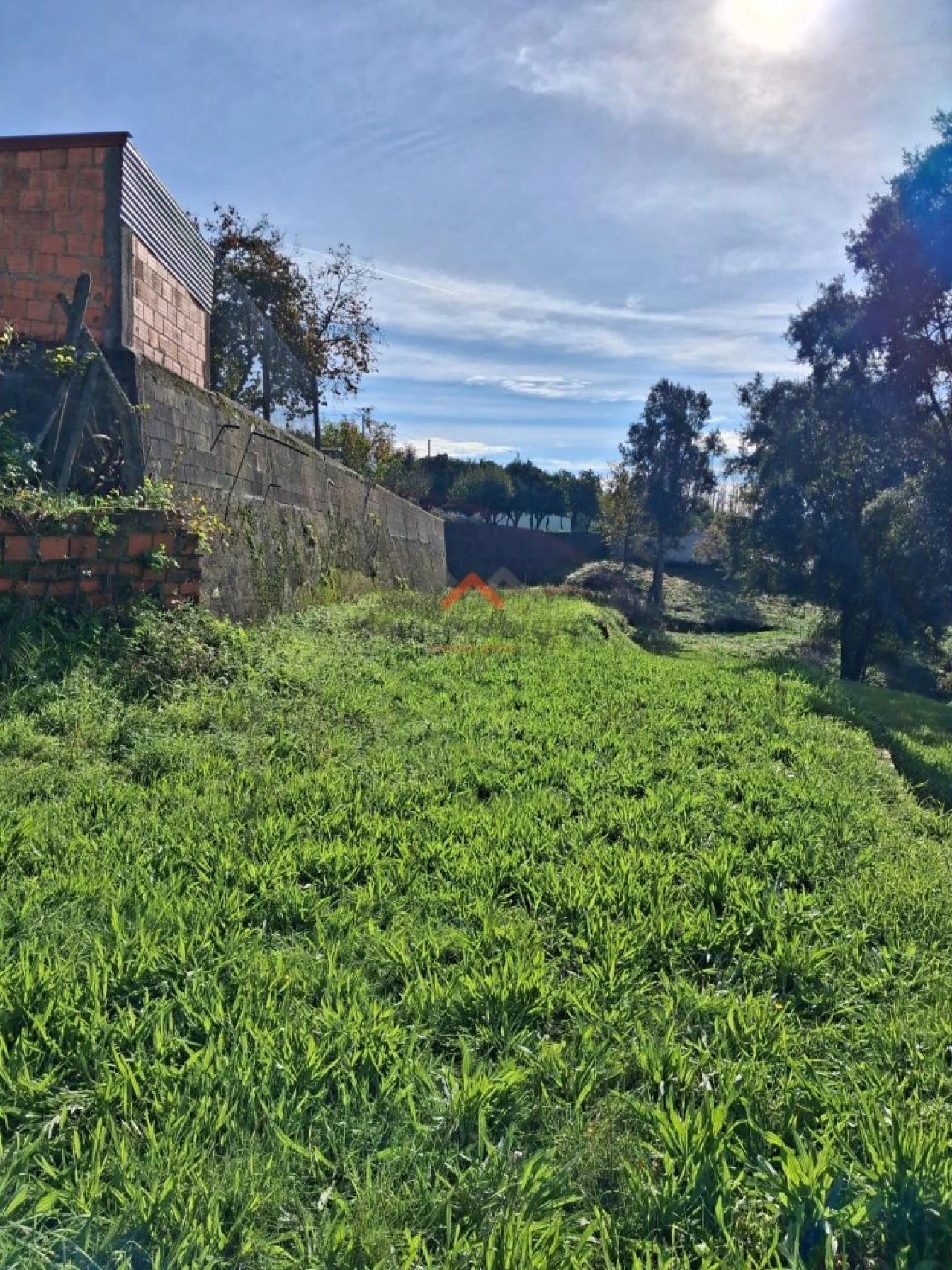 Terreno Agricola ou Rústico para Venda em Ribeira de Fraguas Foto 3