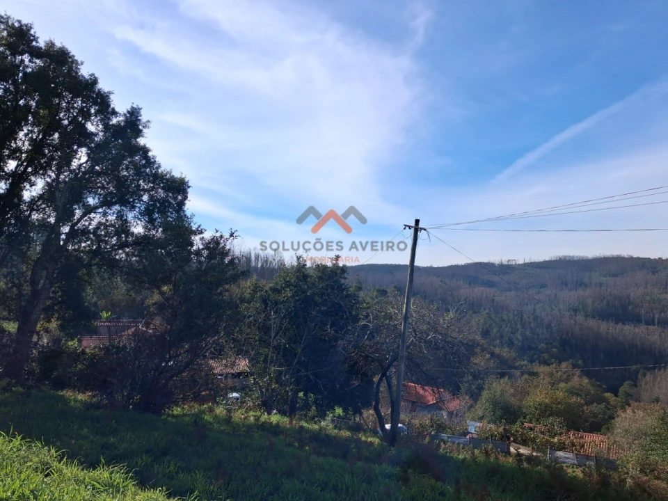 Terreno Agricola ou Rústico para Venda em Ribeira de Fraguas Foto 5
