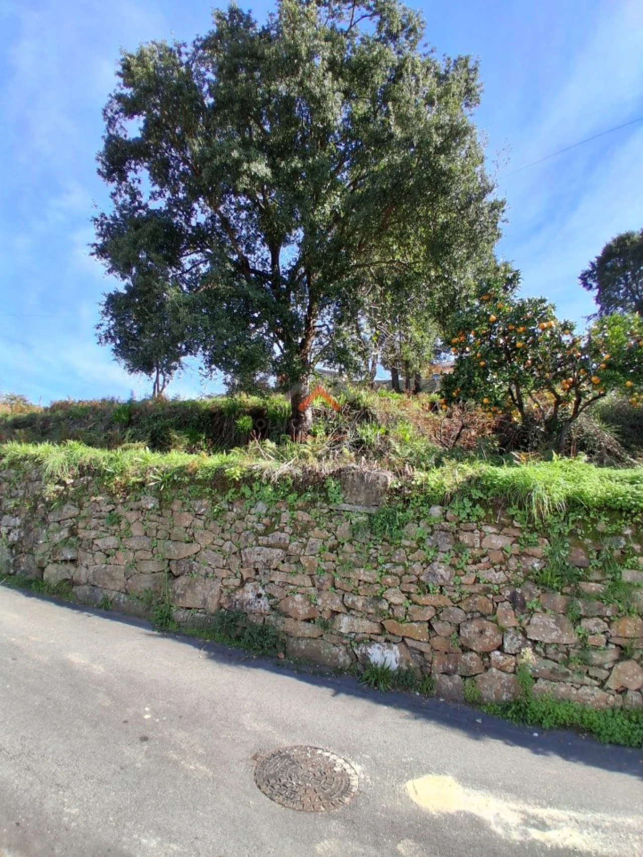 Terreno Agricola ou Rústico para Venda em Ribeira de Fraguas Foto 8