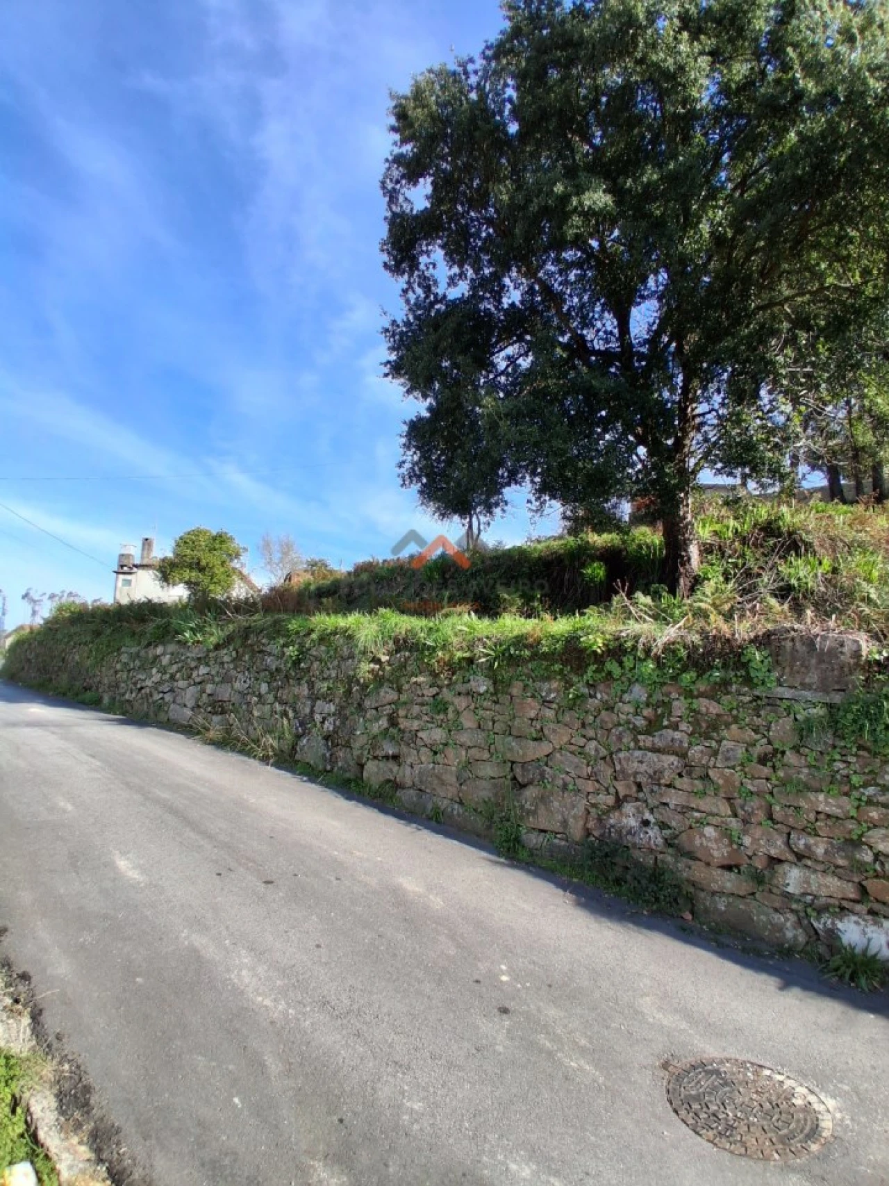 Terreno Agricola ou Rústico para Venda em Ribeira de Fraguas Foto 9