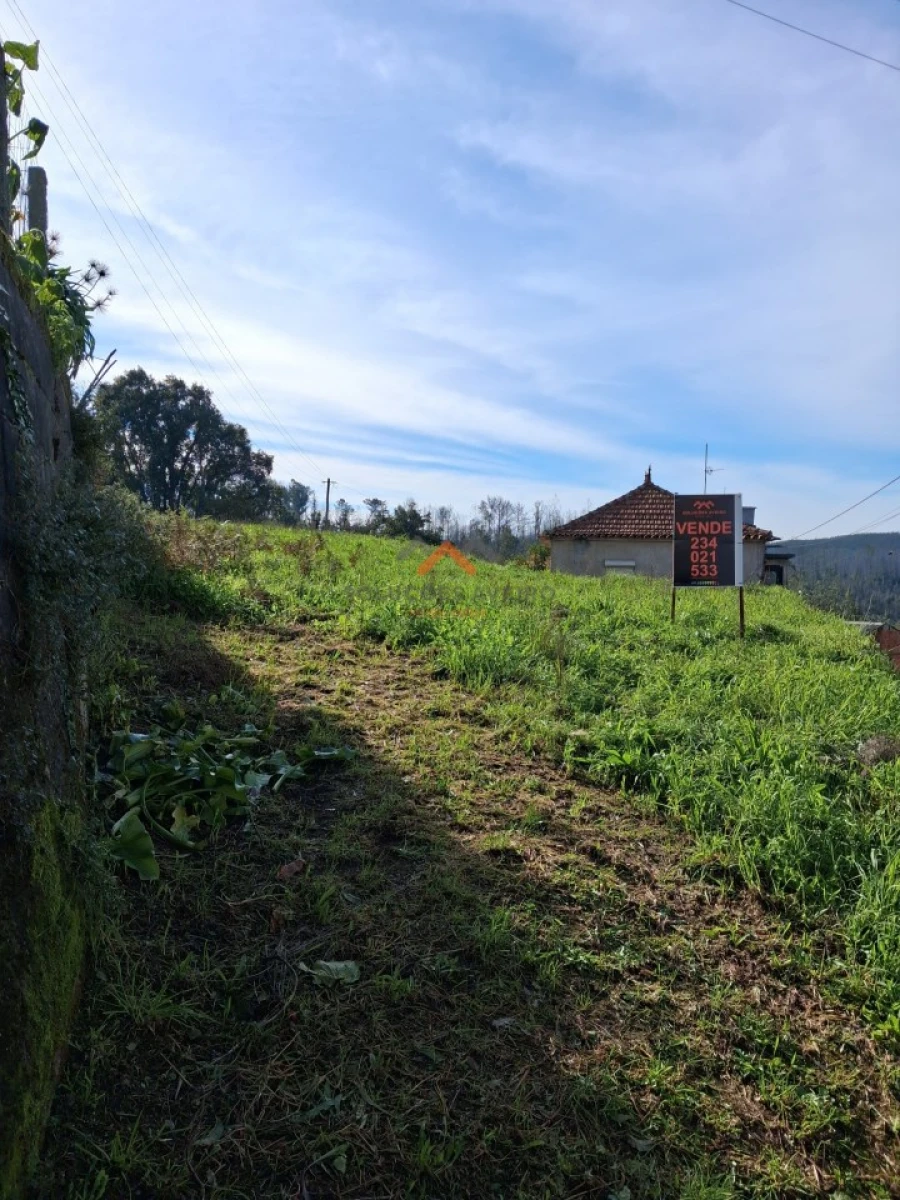 Terreno Agricola ou Rústico para Venda em Ribeira de Fraguas Foto 1