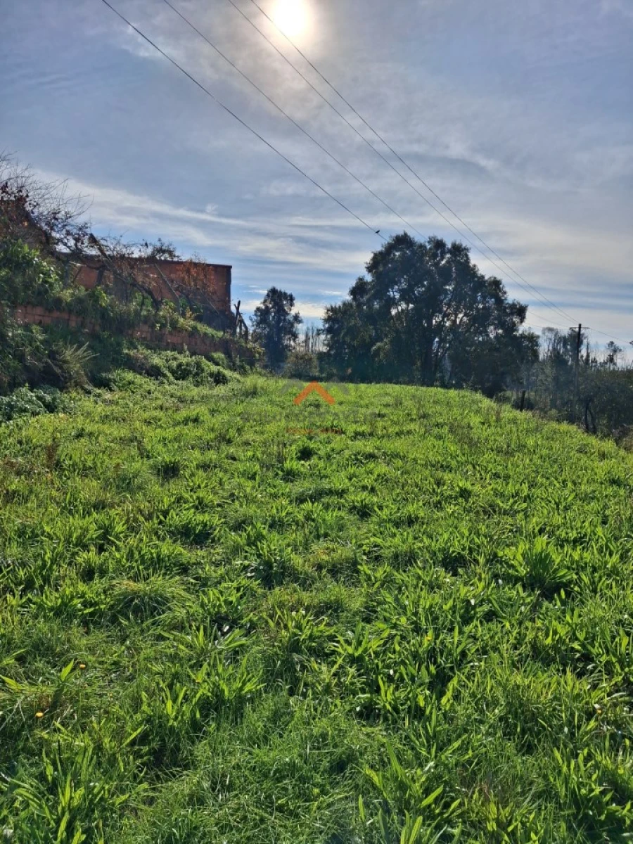 Terreno Agricola ou Rústico para Venda em Ribeira de Fraguas Foto 2
