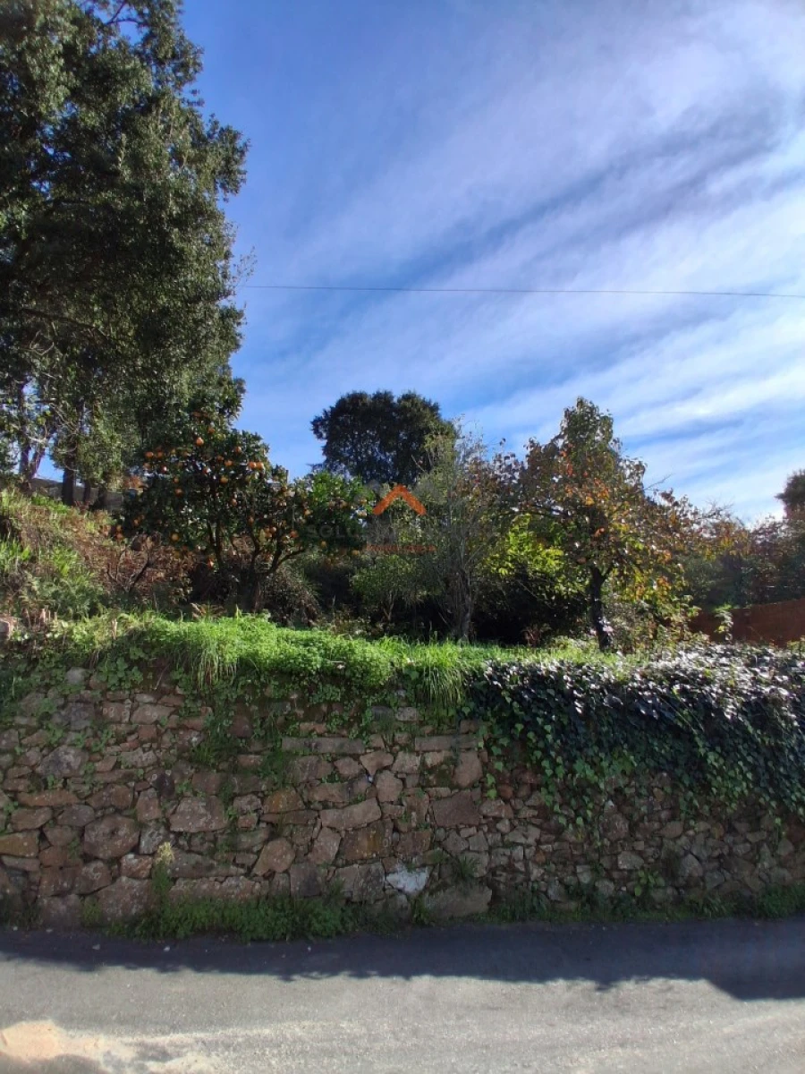 Terreno Agricola ou Rústico para Venda em Ribeira de Fraguas Foto 10