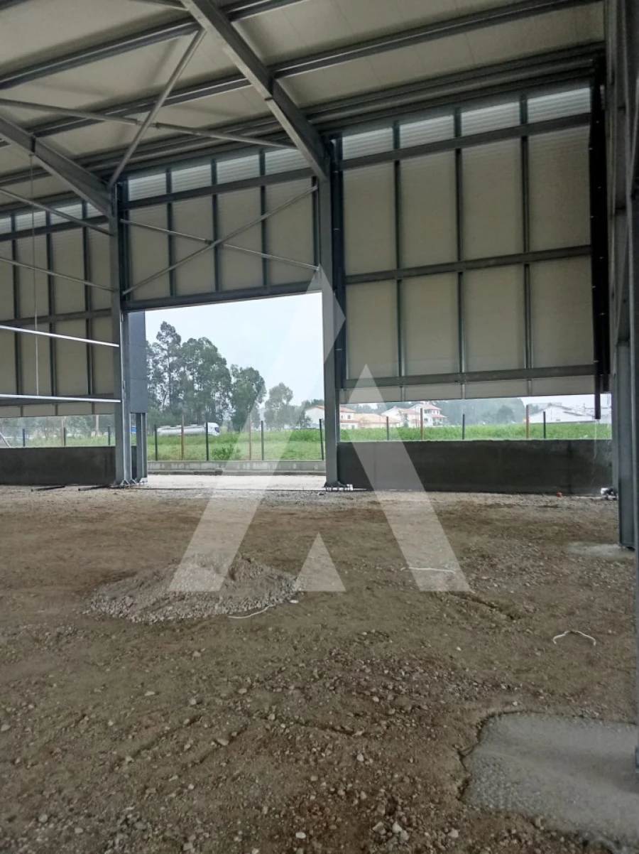 Armazém para Venda em Cacia Foto 2