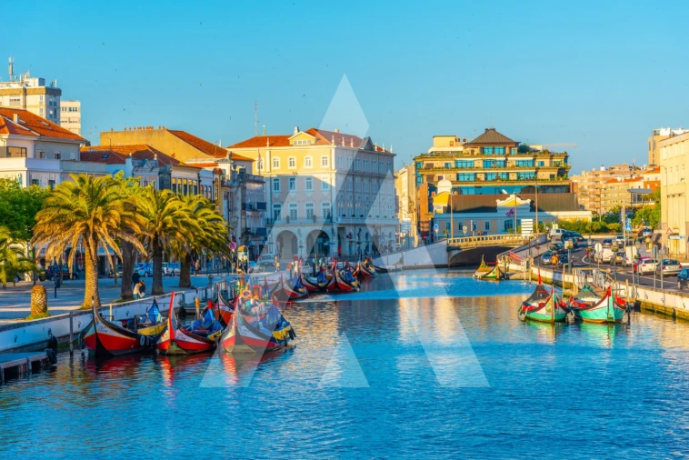 Armazém para Venda em Cacia Foto 1