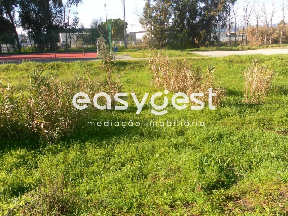 Terreno para Venda em Nossa Sra de Fatima Foto 6