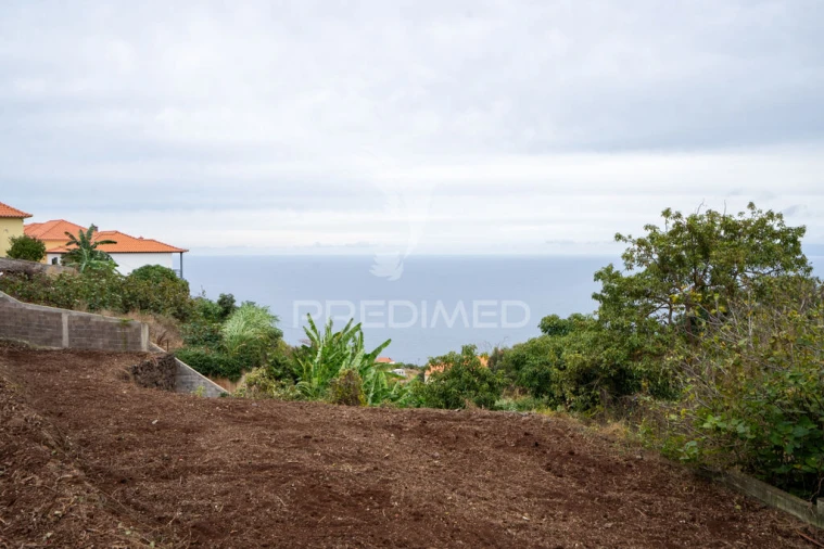 Terreno para Venda em Gaula Foto 3