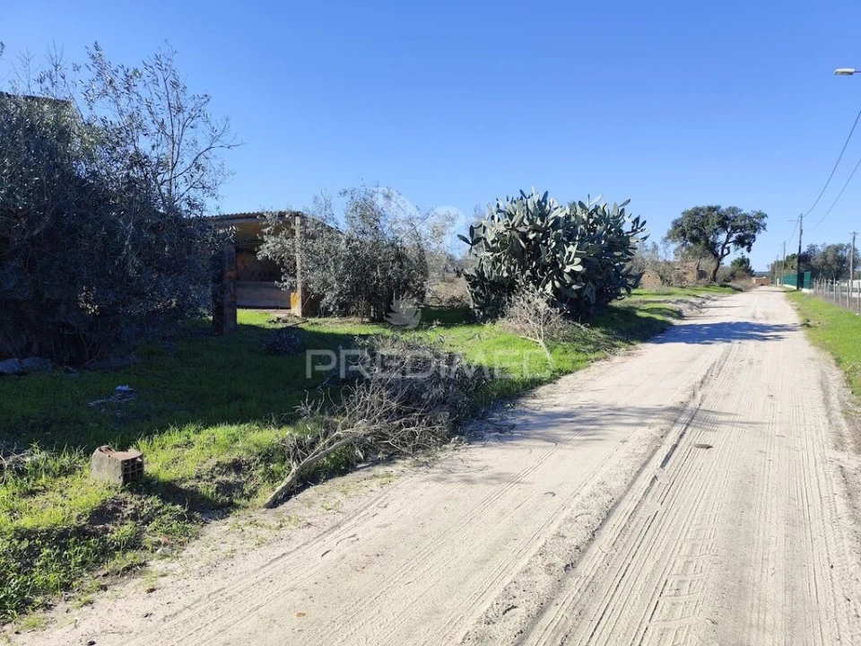Terreno para Arrendamento em Grândola e Santa Margarida da Serra Foto 5