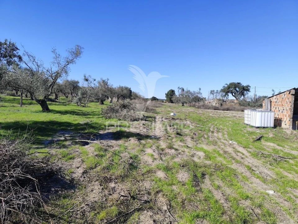 Terreno para Arrendamento em Grândola e Santa Margarida da Serra Foto 12