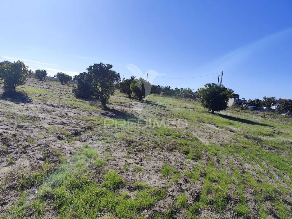 Terreno para Arrendamento em Grândola e Santa Margarida da Serra Foto 10