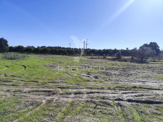 Terreno para Arrendamento em Grândola e Santa Margarida da Serra