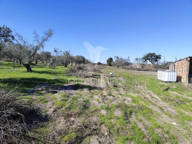 Terreno para Arrendamento em Grândola e Santa Margarida da Serra Foto 12