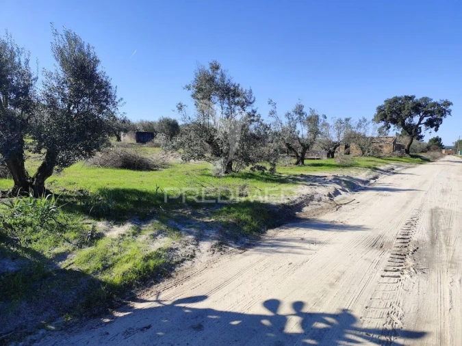 Terreno para Arrendamento em Grândola e Santa Margarida da Serra Foto 11