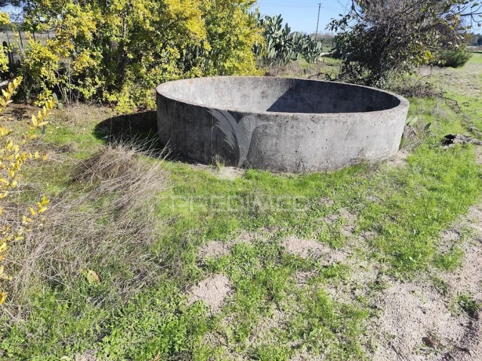 Terreno para Arrendamento em Grândola e Santa Margarida da Serra Foto 4