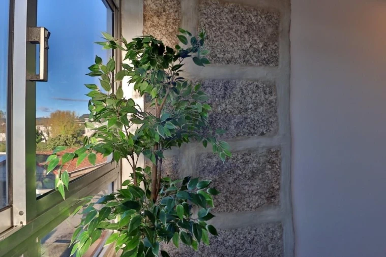 Prédio para Venda em Azurem Foto 32