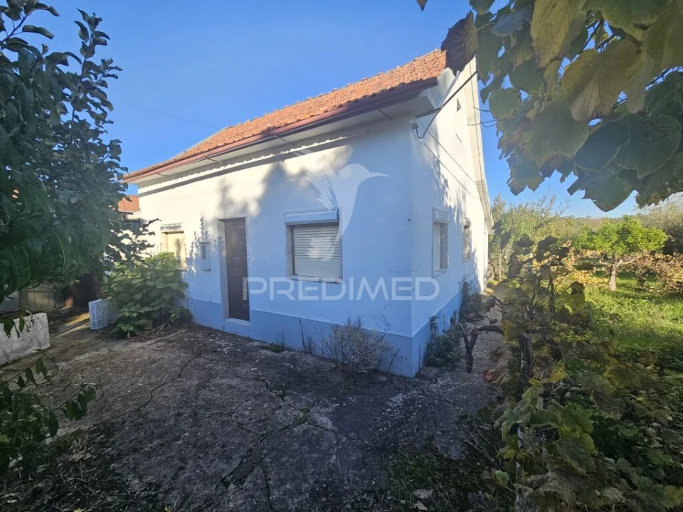 Moradia T3 para Venda em Chãos Foto 3