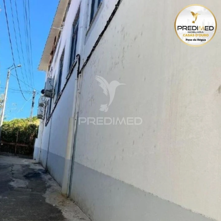Prédio para Venda em Peso da Régua e Godim Foto 17