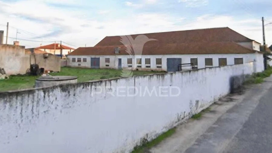 Armazém para Venda em Rio Maior