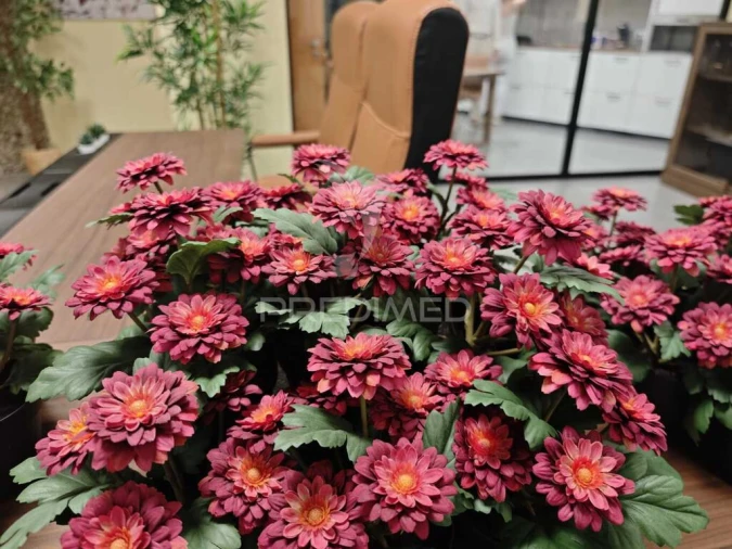 Prédio para Arrendamento em Faro (Sé e São Pedro) Foto 11