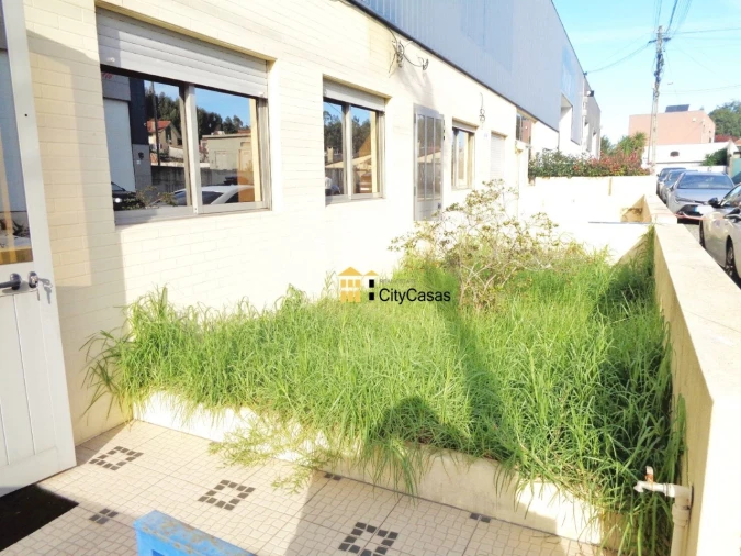 Loja para Arrendamento em Nogueira e Silva Escura Foto 12