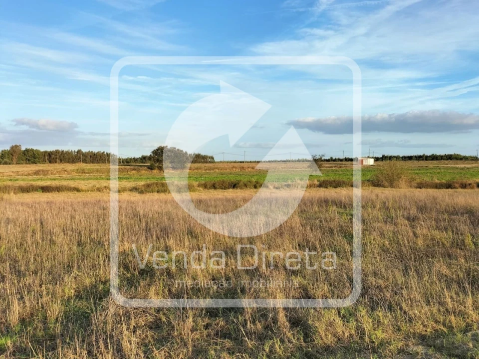 Terreno para Venda em Canha Foto 3