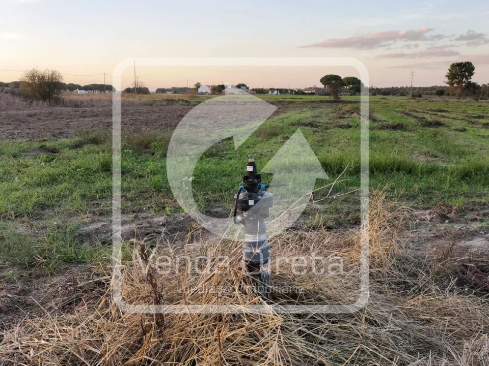 Terreno para Venda em Canha Foto 9