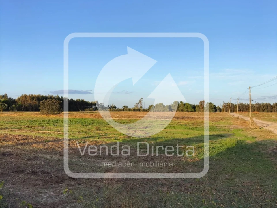 Terreno para Venda em Canha Foto 12