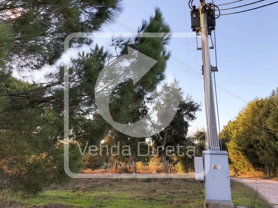 Terreno para Venda em Canha Foto 15