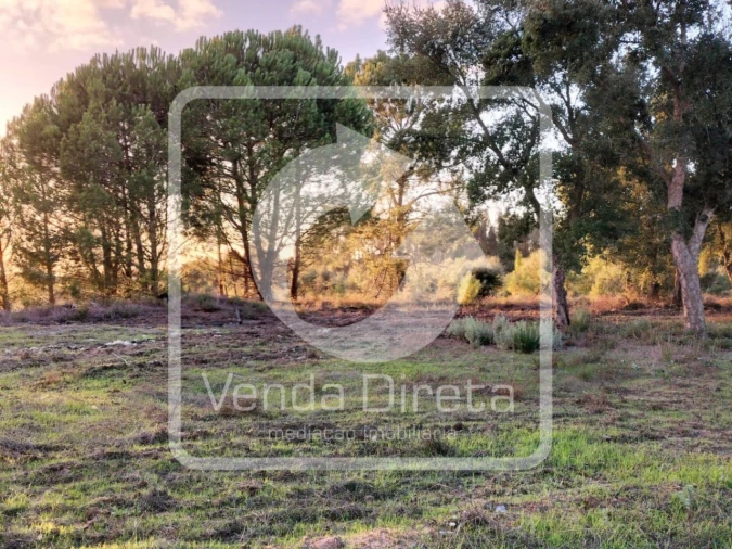 Terreno para Venda em Canha Foto 14