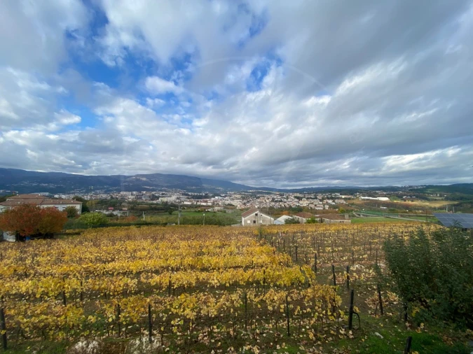 Moradia T5 para Venda em Nogueira e Ermida Foto 4