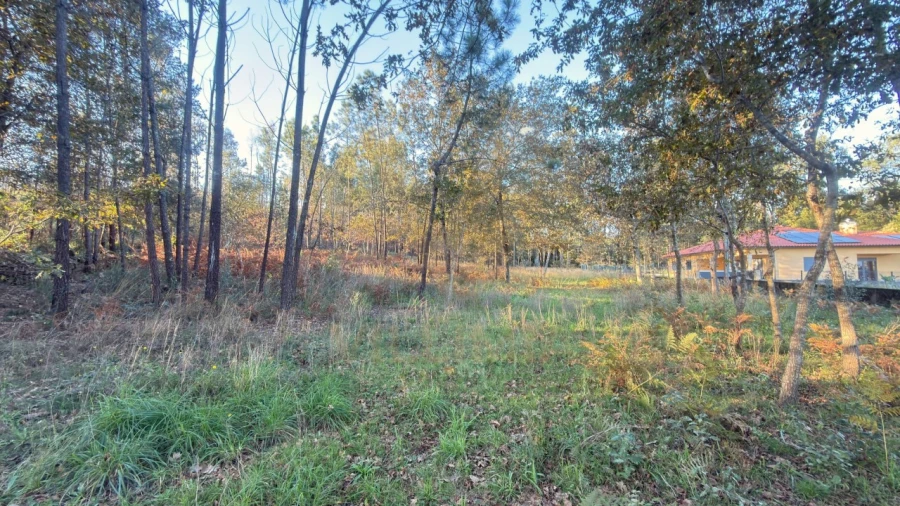 Terreno para Venda em São Pedro de Arcos Foto 4