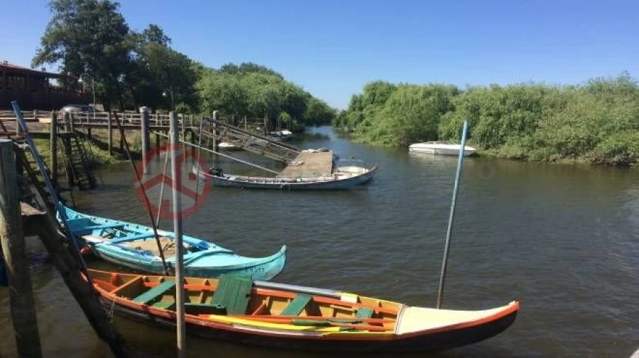 Moradia T1 para Venda em Salvaterra de Magos e Foros de Salvaterra Foto 16