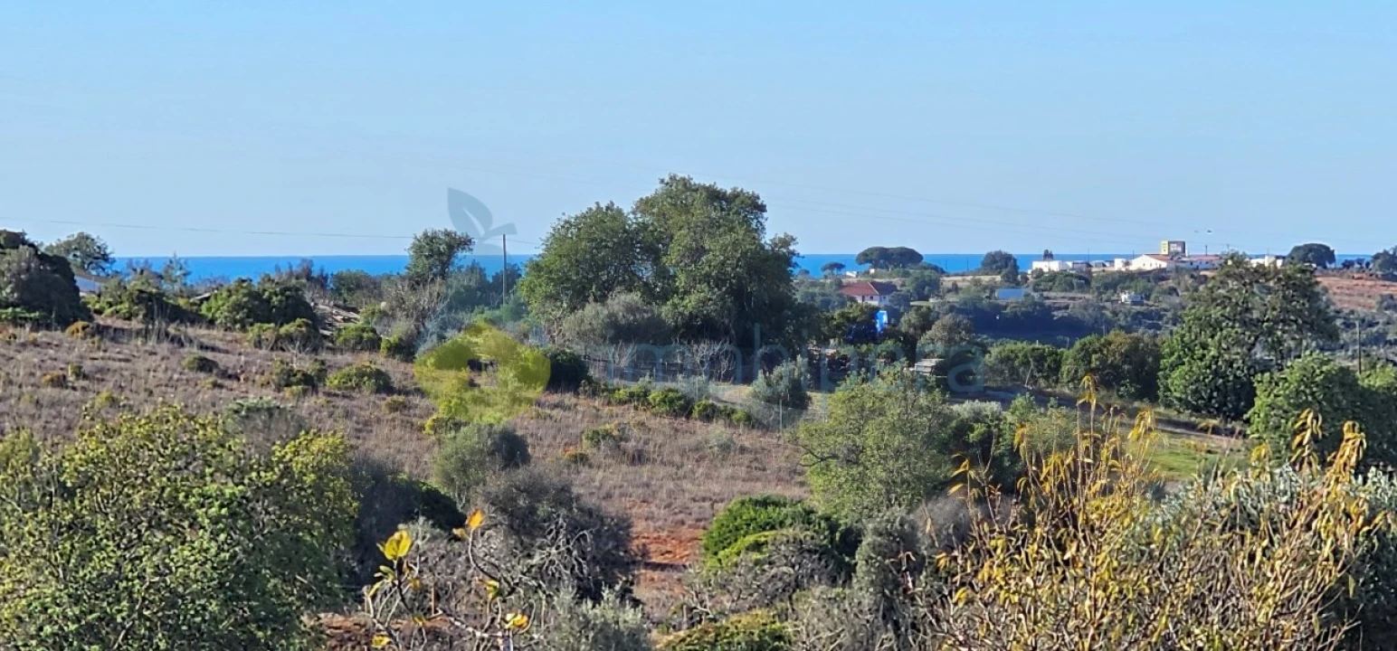 Moradia T4 para Venda em Algoz e Tunes Foto 11