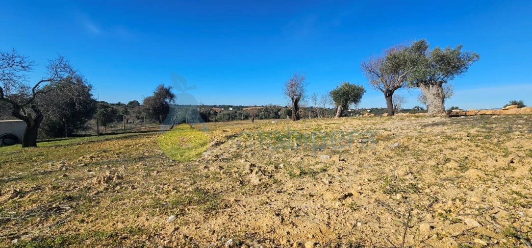 Moradia T4 para Venda em Algoz e Tunes Foto 9